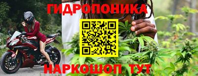бошки Будённовск