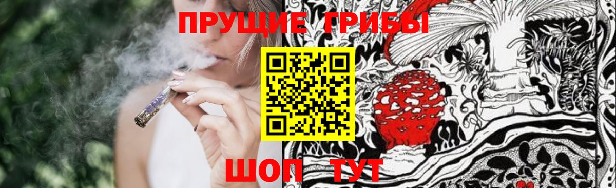 Галлюциногенные грибы GOLDEN TEACHER Курганинск