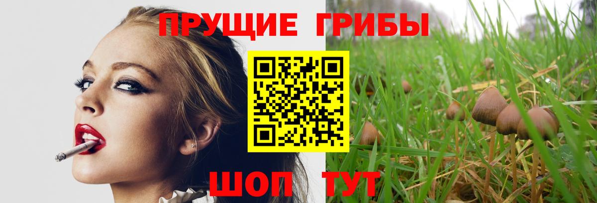 Курганинск  Галлюциногенные грибы Psilocybe  Псилоцибиновые грибы мухоморы  Вход с VPN 
