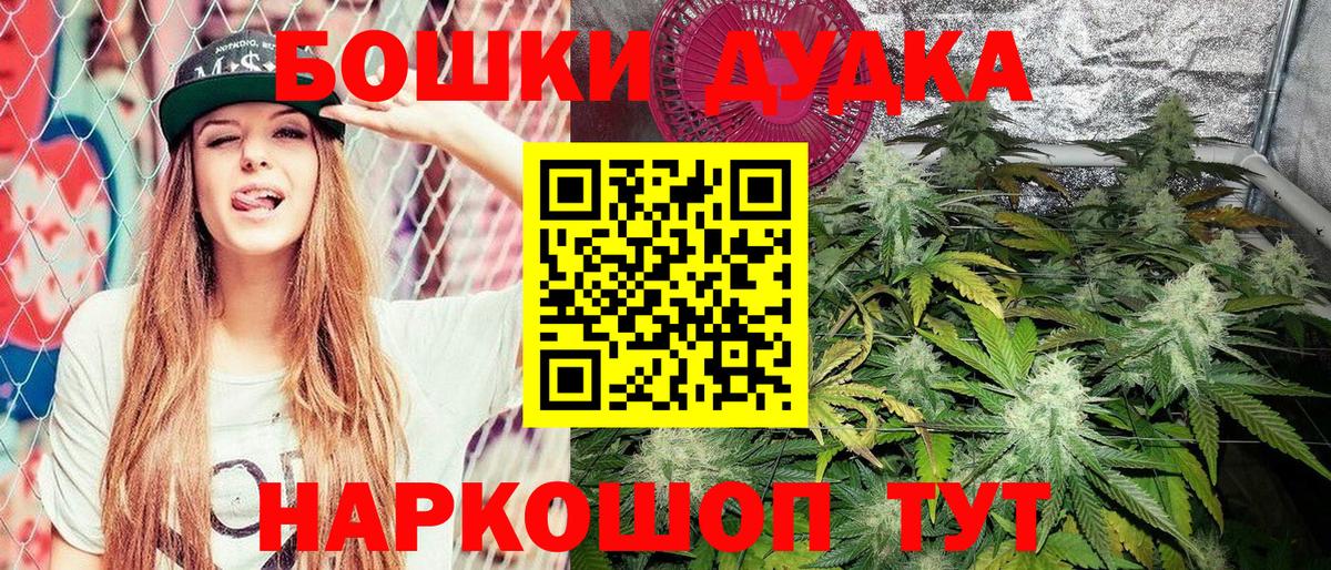Конопля конопля Курганинск